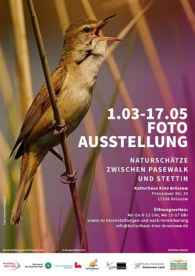 Fotoausstellung in der Galerie